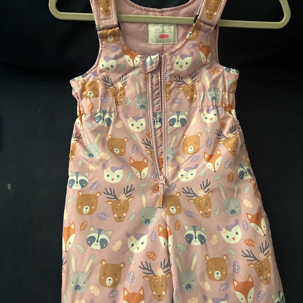 The Children's Place Snow Suit ( Jacket and Jumper)